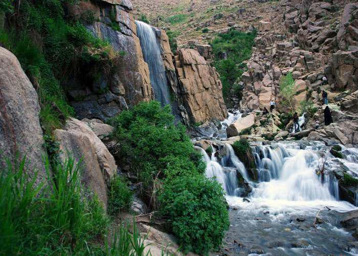 ایزوگام ستاره طلایی