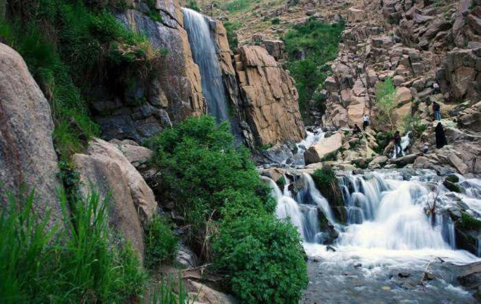 ایزوگام ستاره طلایی