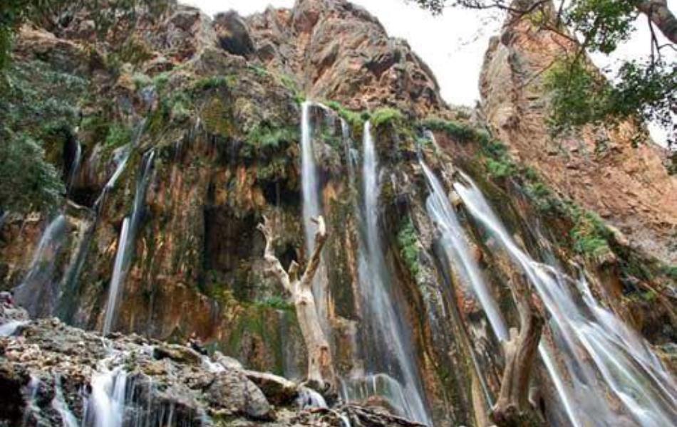 ایزوگام ستاره طلایی